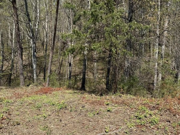 475 Bayside Boulevard, Bean Station, TN 37708