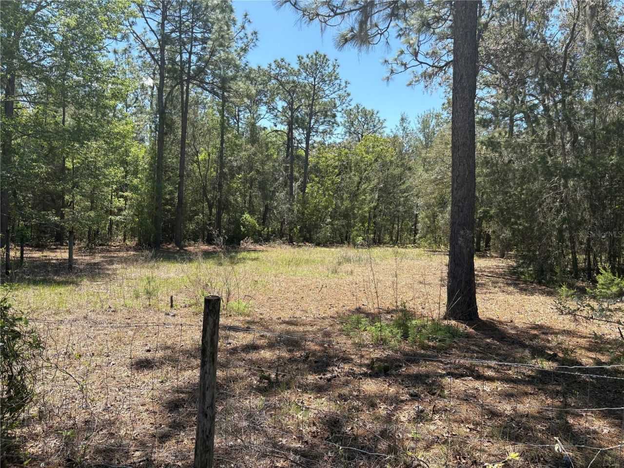 1882 Bellamy Road, Florahome, FL 32140 Photo