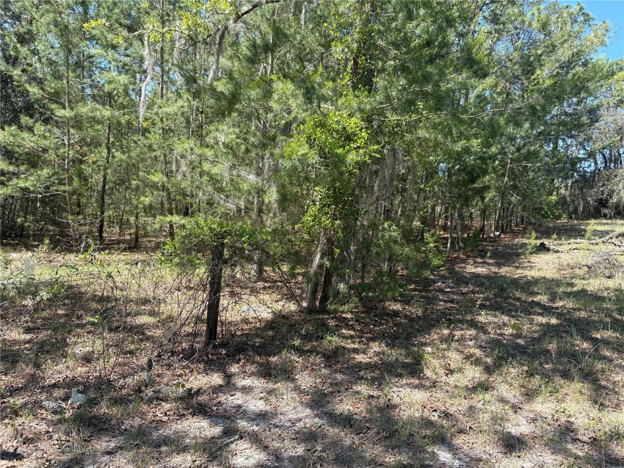 1882 Bellamy Road, Florahome, FL 32140 Photo