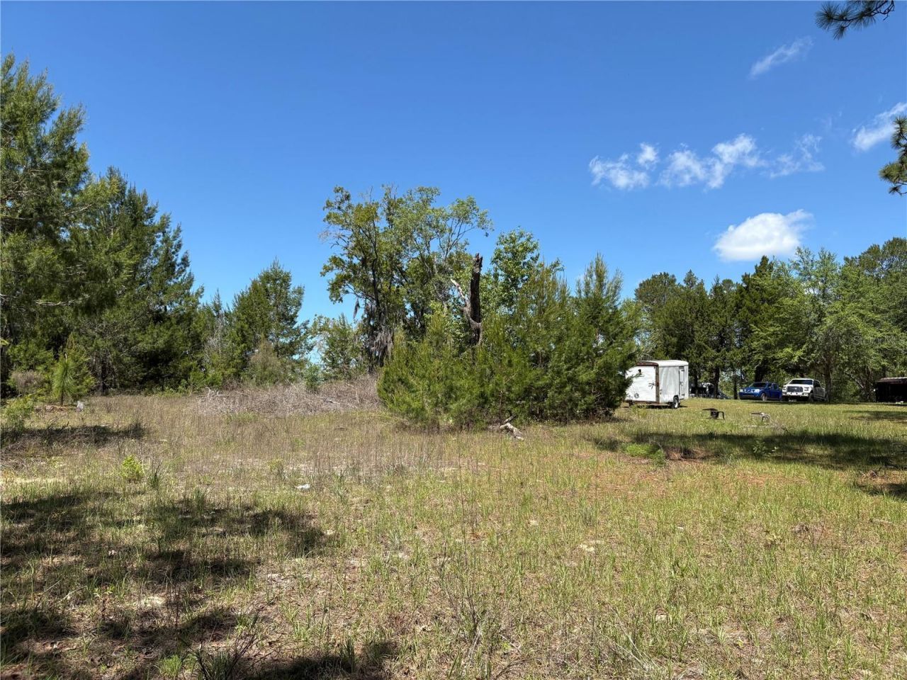 1882 Bellamy Road, Florahome, FL 32140 Photo