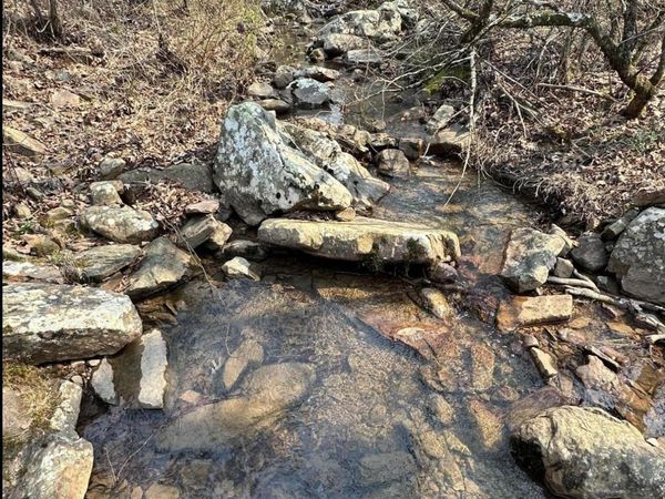 Cold Springs Road, Waldron, AR 72958