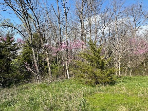 E 235th Street, Peculiar, MO 64078