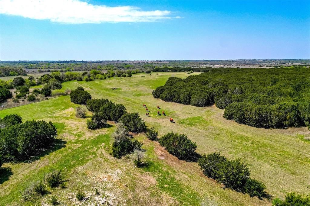 111+/- Ac. 13755 N Lone Star Parkway, Valley Mills, TX 76689 Main Photo