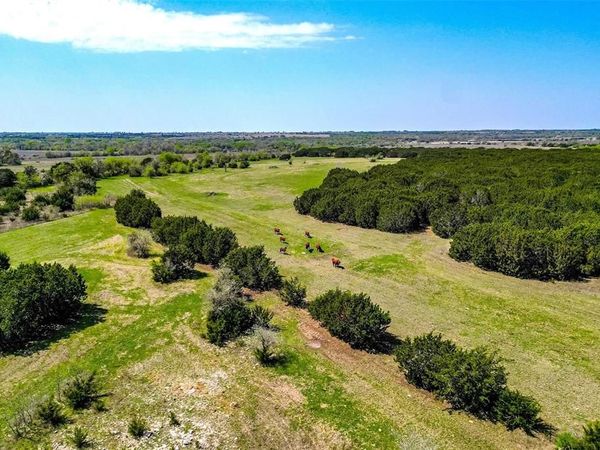111+/- ac. 13755 N Lone Star Parkway, Valley Mills, TX 76689