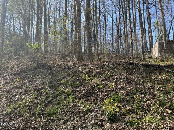 Tbd Wedgewood Road, Big Stone Gap, VA 24219