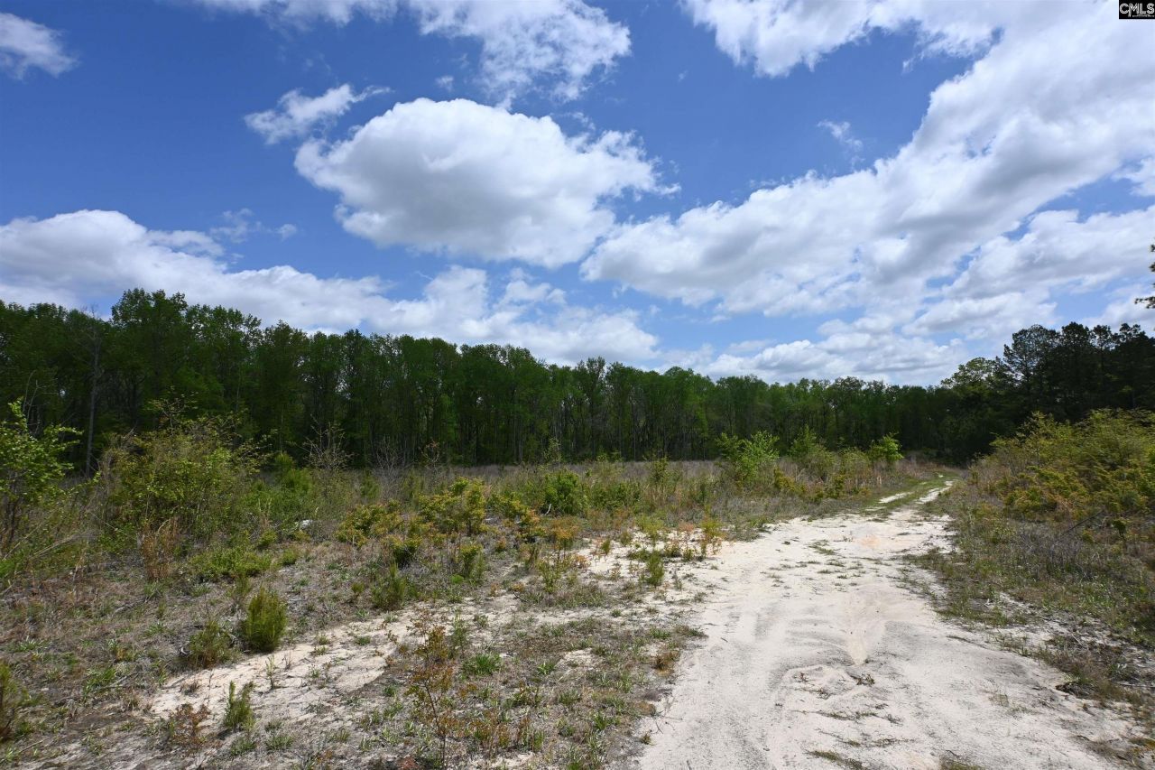 0 Platt Springs Road Photo 10