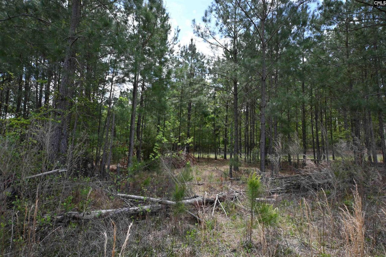 0 Platt Springs Road Photo 11