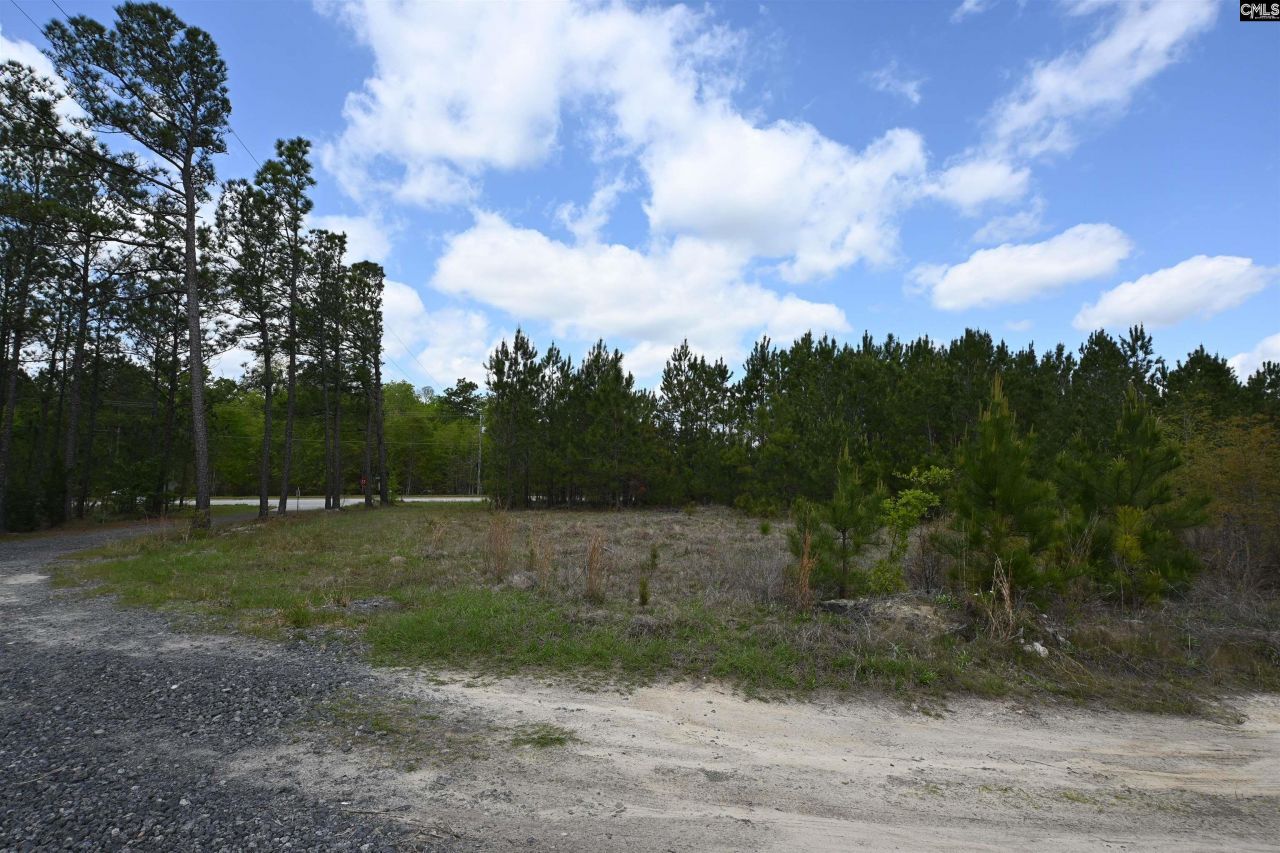 0 Platt Springs Road Photo 12