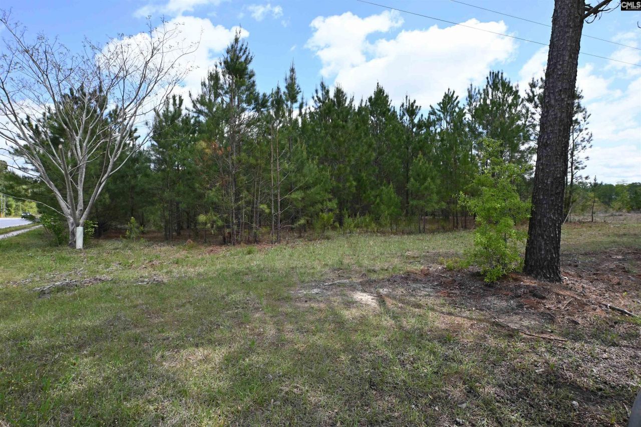 0 Platt Springs Road Photo 13