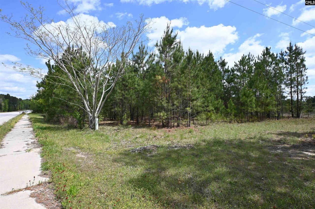 0 Platt Springs Road Photo 14