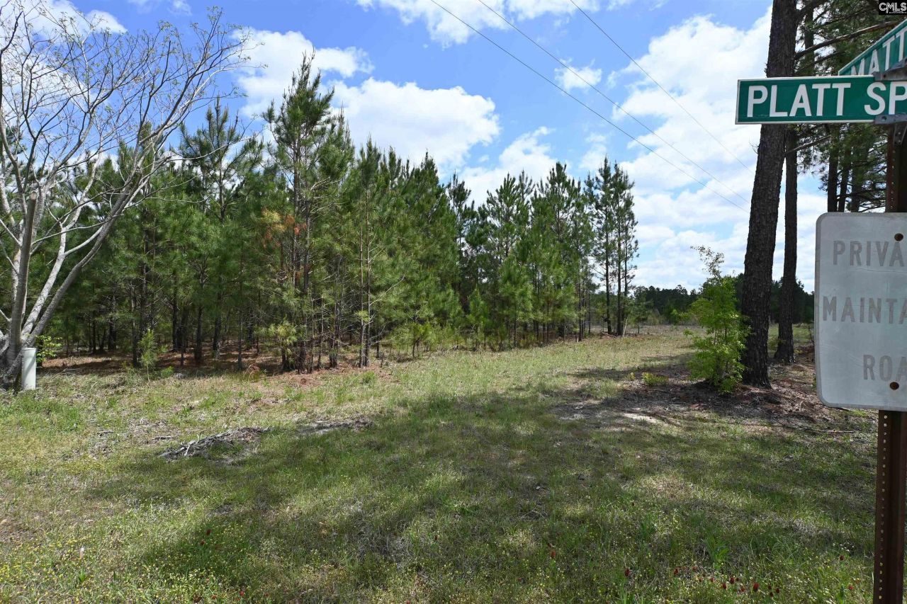 0 Platt Springs Road Photo 15