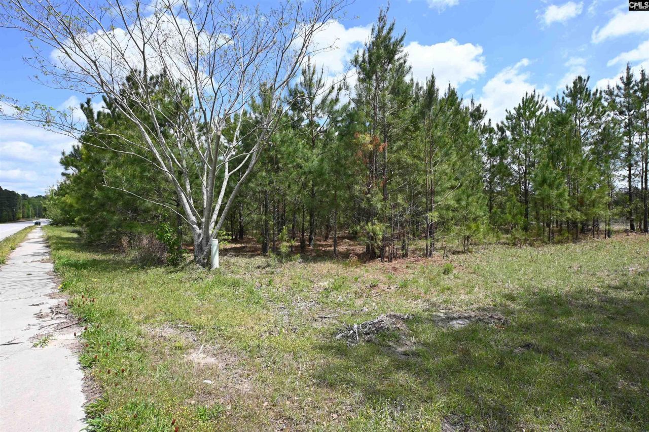 0 Platt Springs Road Photo 16