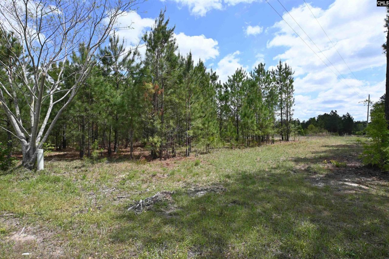 0 Platt Springs Road Photo 17