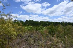 0 Platt Springs Road photo 4