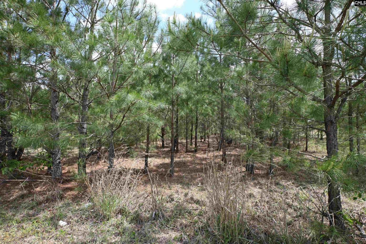 0 Platt Springs Road Photo 20