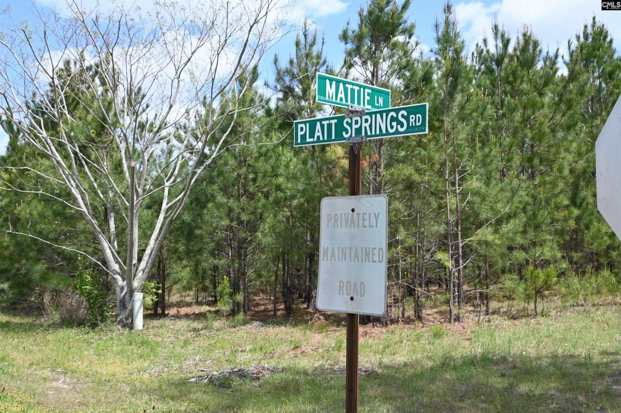 0 Platt Springs Road Photo 23