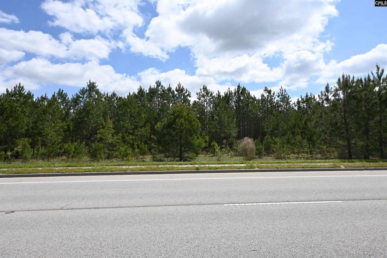 0 Platt Springs Road Photo 25