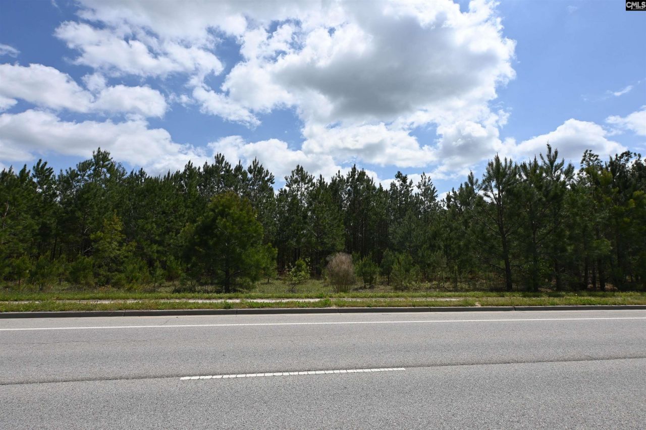 0 Platt Springs Road Photo 26