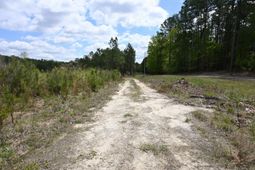 0 Platt Springs Road photo 4