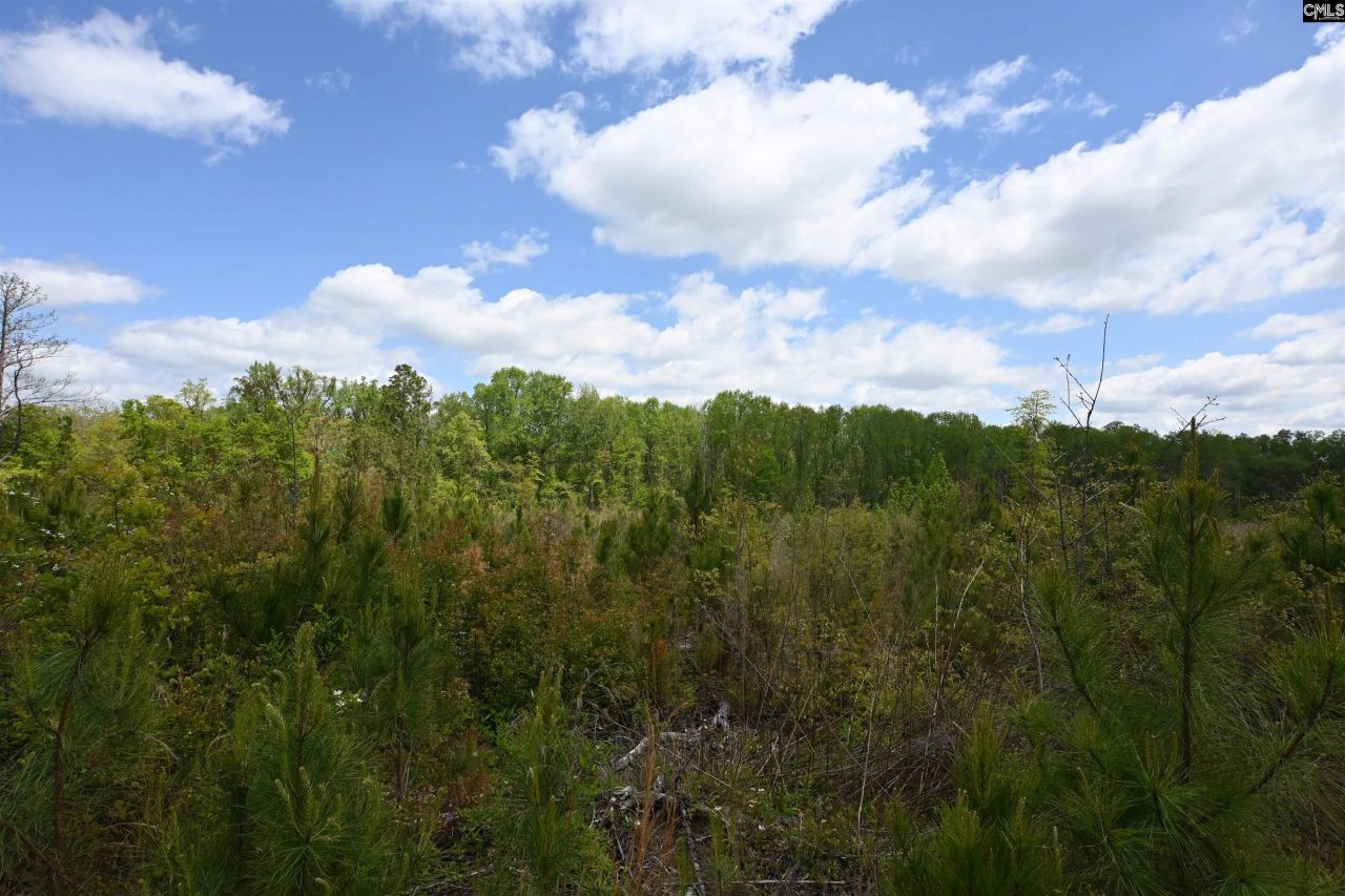 0 Platt Springs Road Photo 6