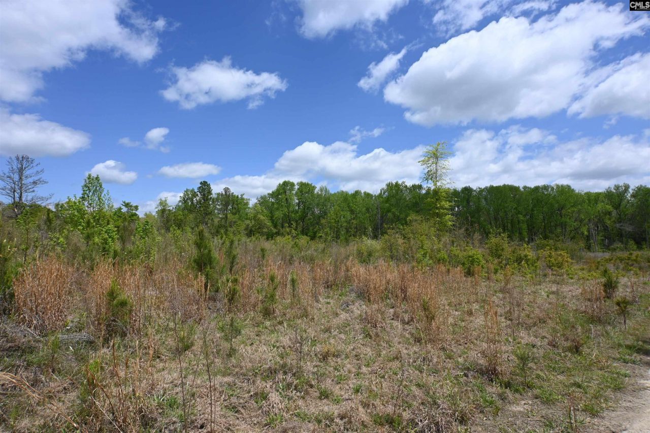 0 Platt Springs Road Photo 7