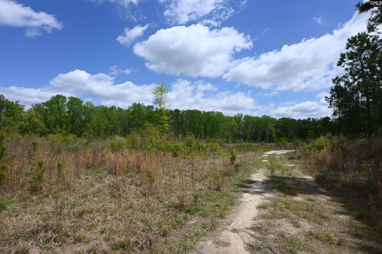 0 Platt Springs Road Photo 8