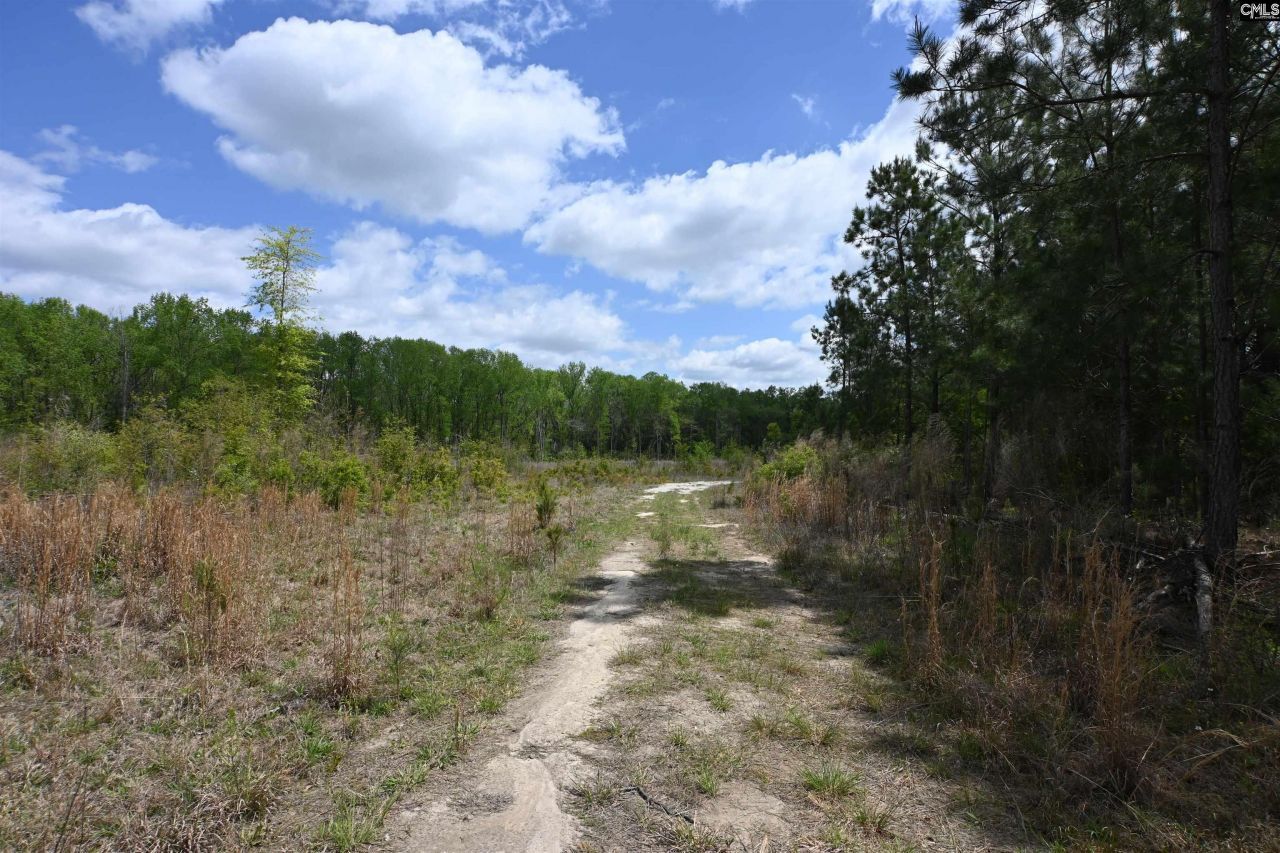 0 Platt Springs Road Photo 9