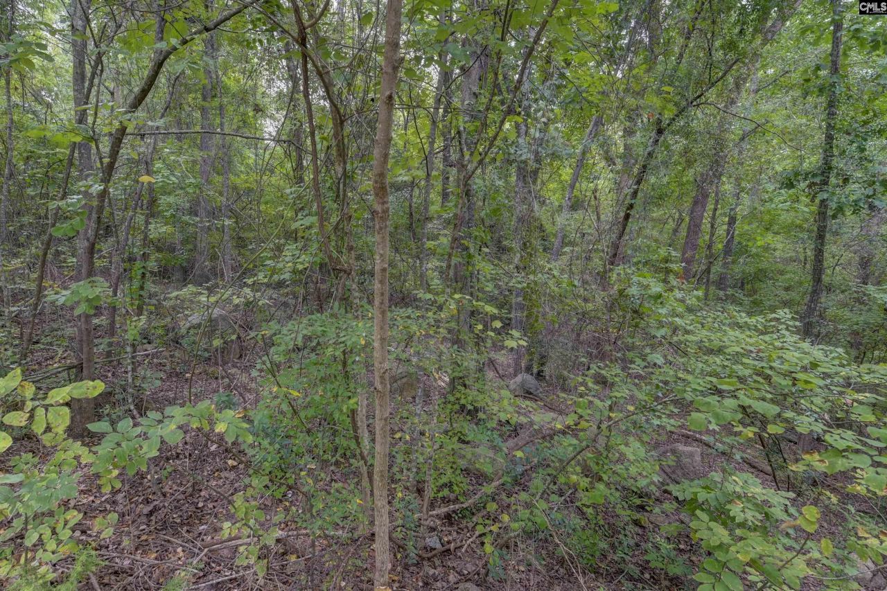 329 Old Wood Drive Photo 10