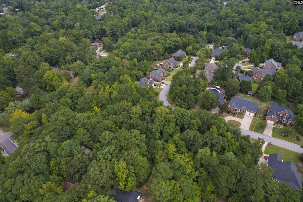 329 Old Wood Drive Photo 12