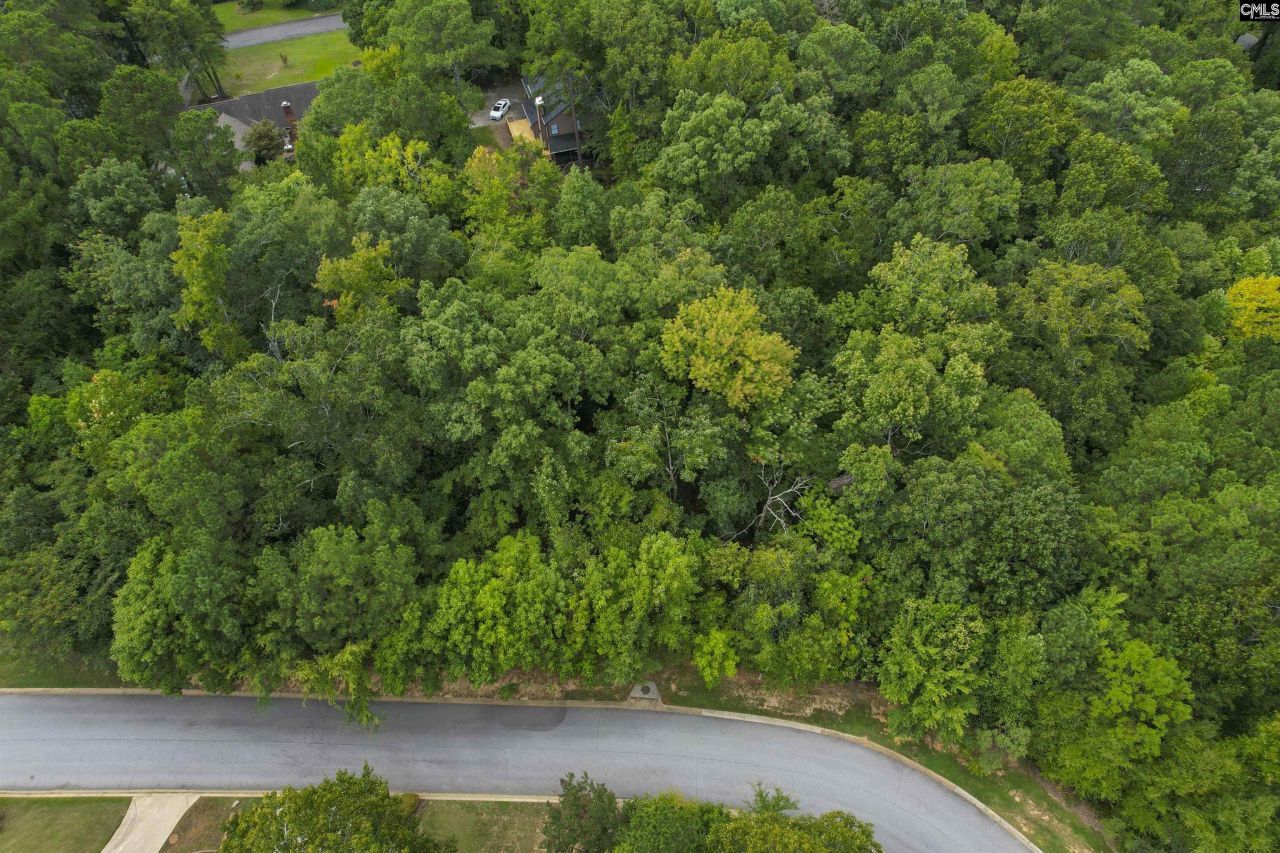 329 Old Wood Drive Photo 17