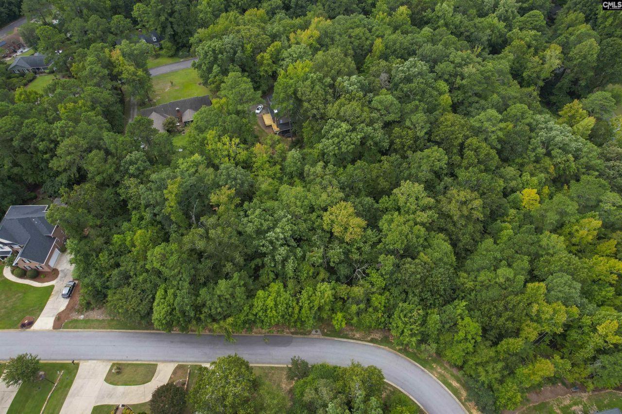 329 Old Wood Drive Photo 18