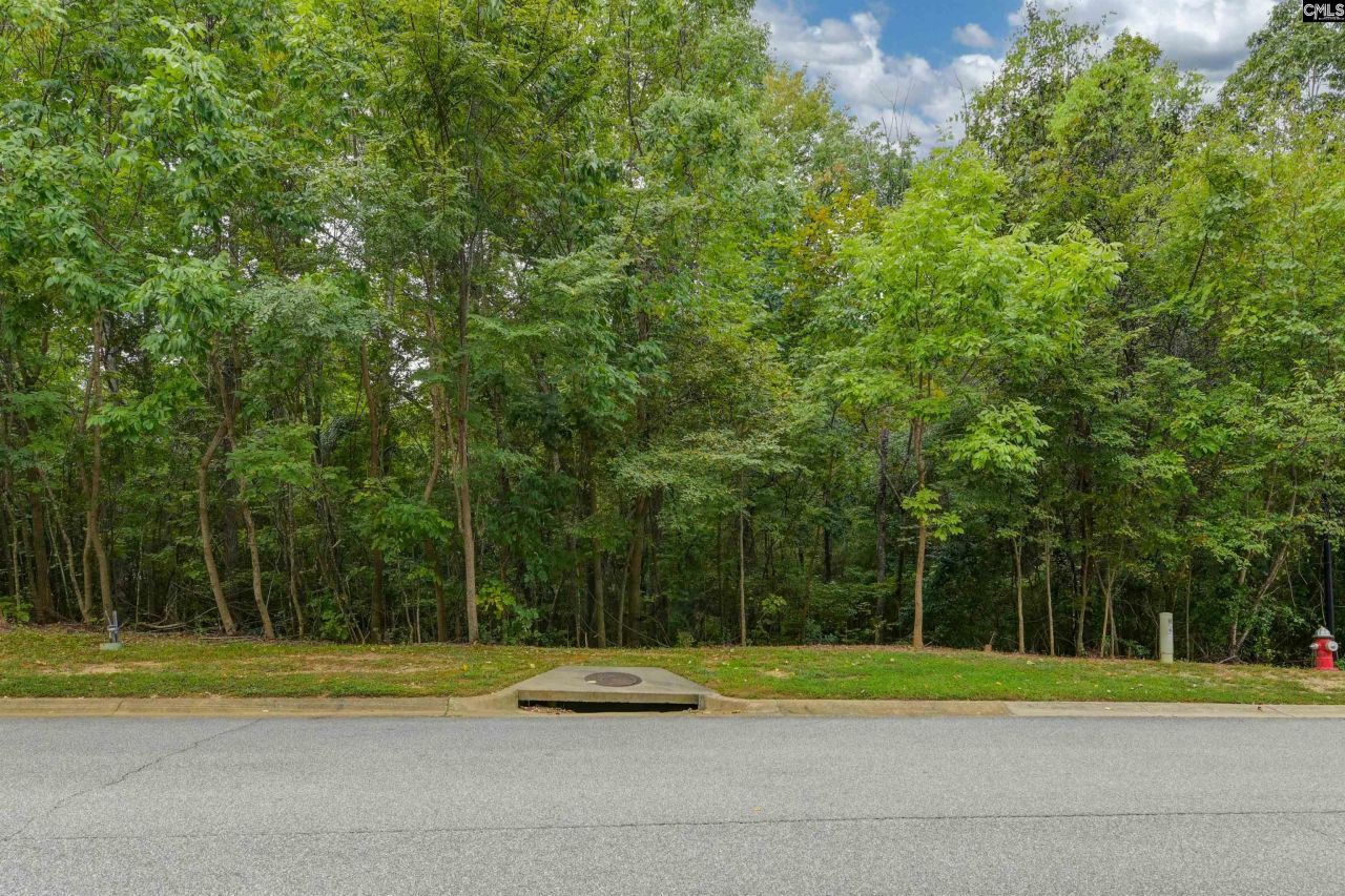 329 Old Wood Drive Photo 5