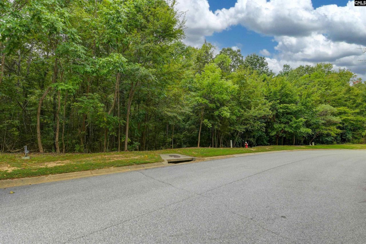 329 Old Wood Drive Photo 6