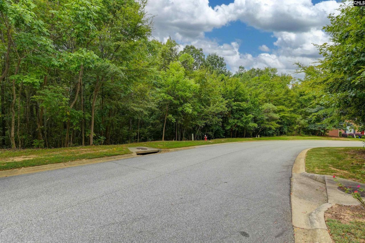 329 Old Wood Drive Photo 7