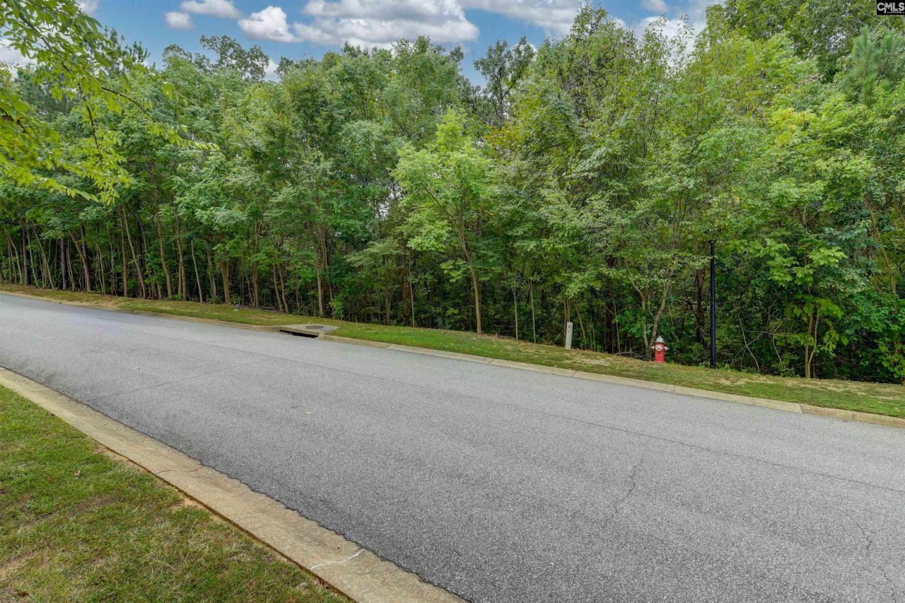 329 Old Wood Drive Photo 8