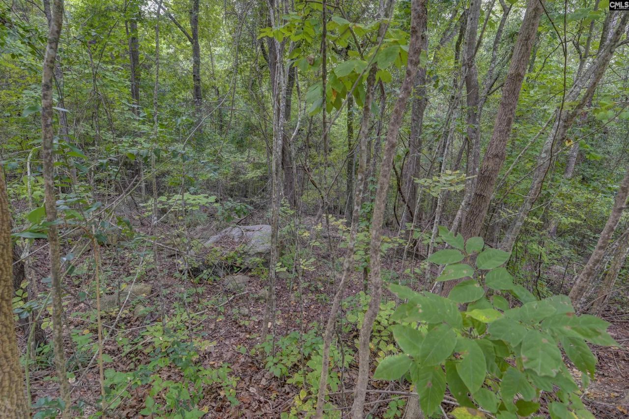 329 Old Wood Drive Photo 9