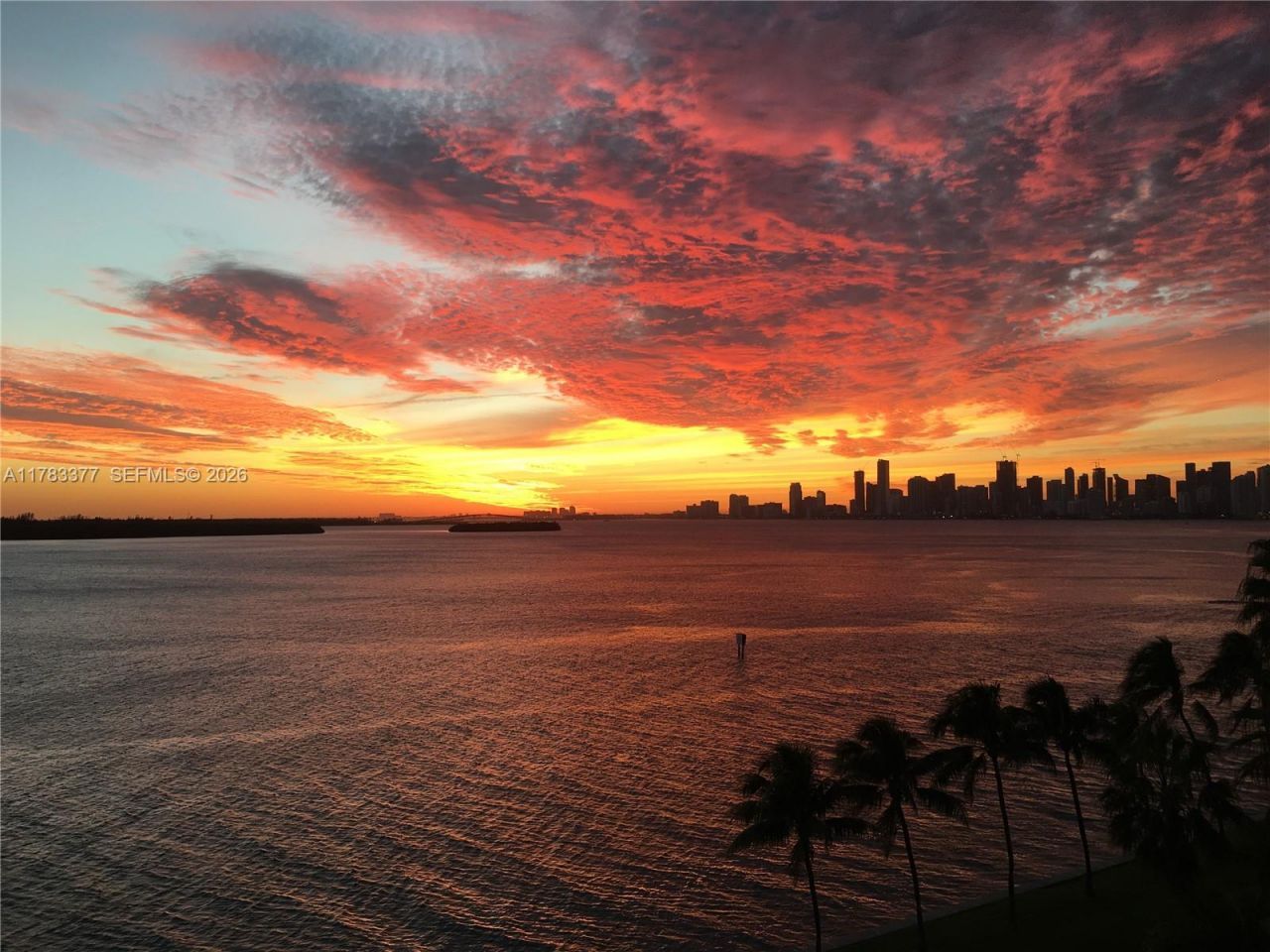 5154 Fisher Island Dr, Unit 5154, Fisher Island, FL 33109 Photo