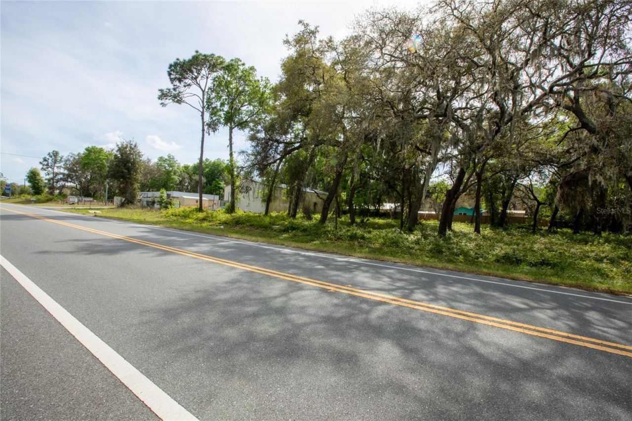 8786 & 8782 State Road 21, Melrose, FL 32666 Photo