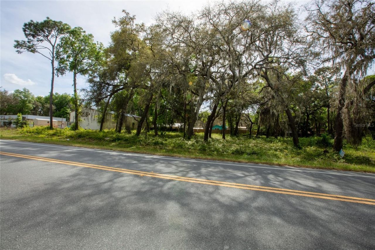 8786 & 8782 State Road 21, Melrose, FL 32666 Photo