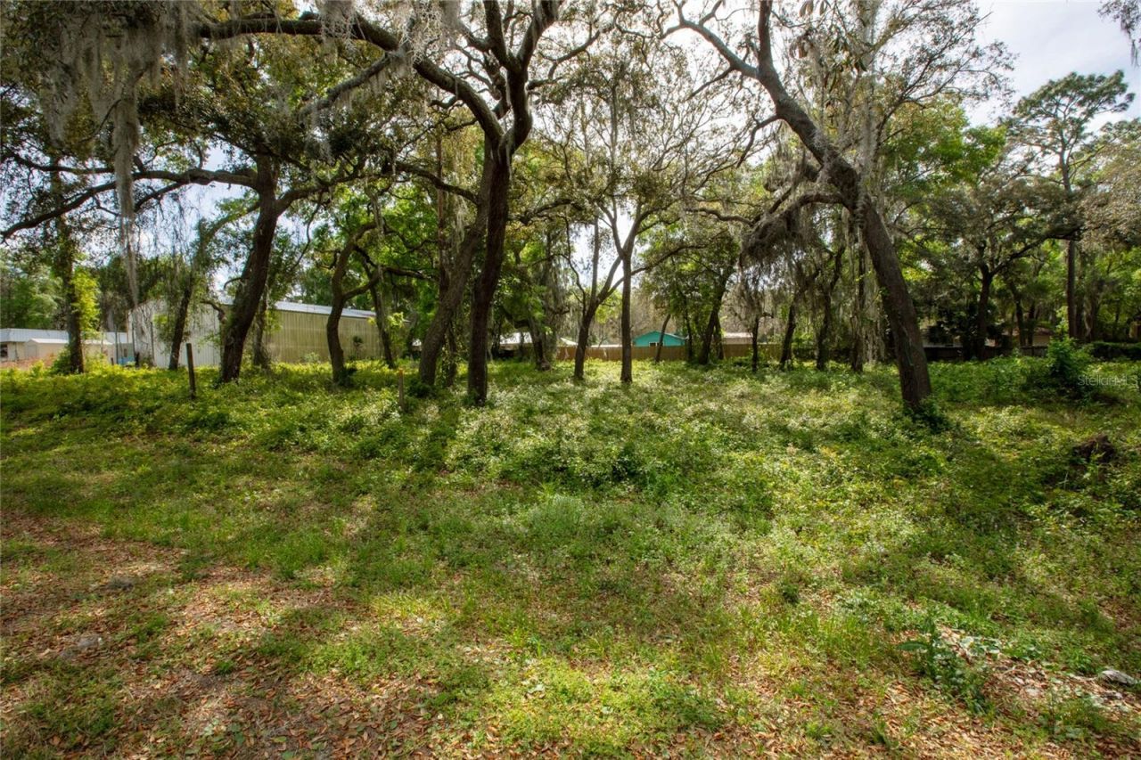 8786 & 8782 State Road 21, Melrose, FL 32666 Photo