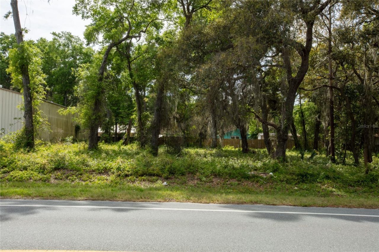 8786 & 8782 State Road 21, Melrose, FL 32666 Photo