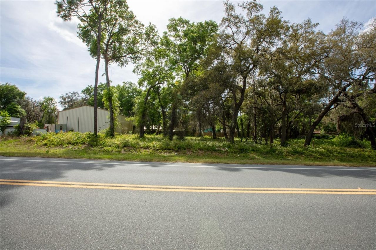 8786 & 8782 State Road 21, Melrose, FL 32666 Photo