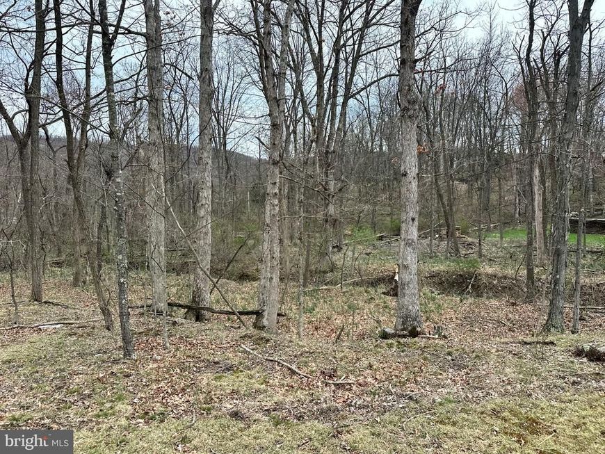 Timberlake Estates - Lot 24, New Creek, WV 26743 Main Photo