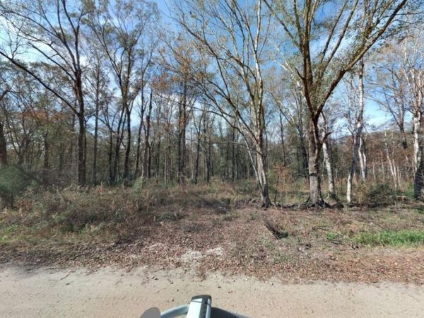 10555 UNDERWOOD AVENUE, HASTINGS, FL 32145