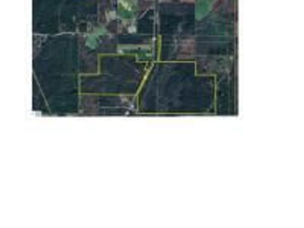 0 Hwy 43, Silver Creek, MS 39663