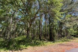 Tbd Dina Montgomery Road photo 4