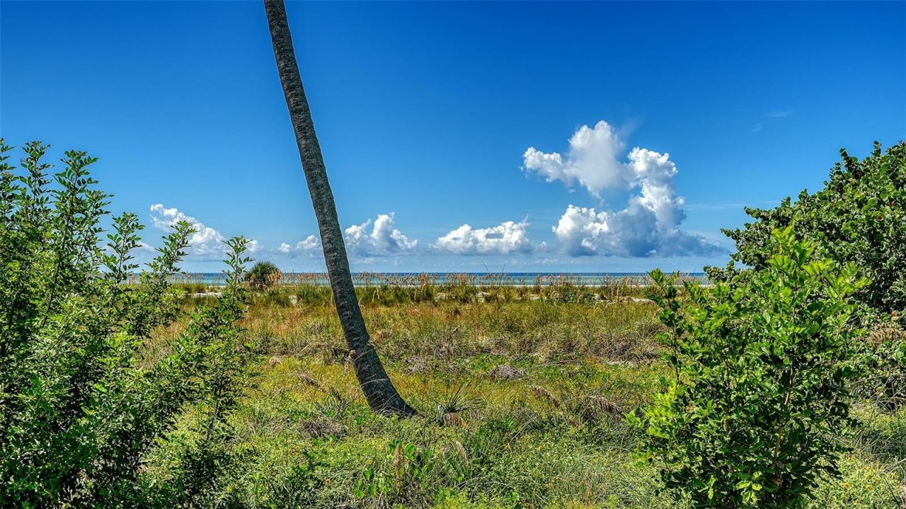 6951 Gulf Of Mexico Drive, Unit 14, Longboat Key, FL 34228 Photo