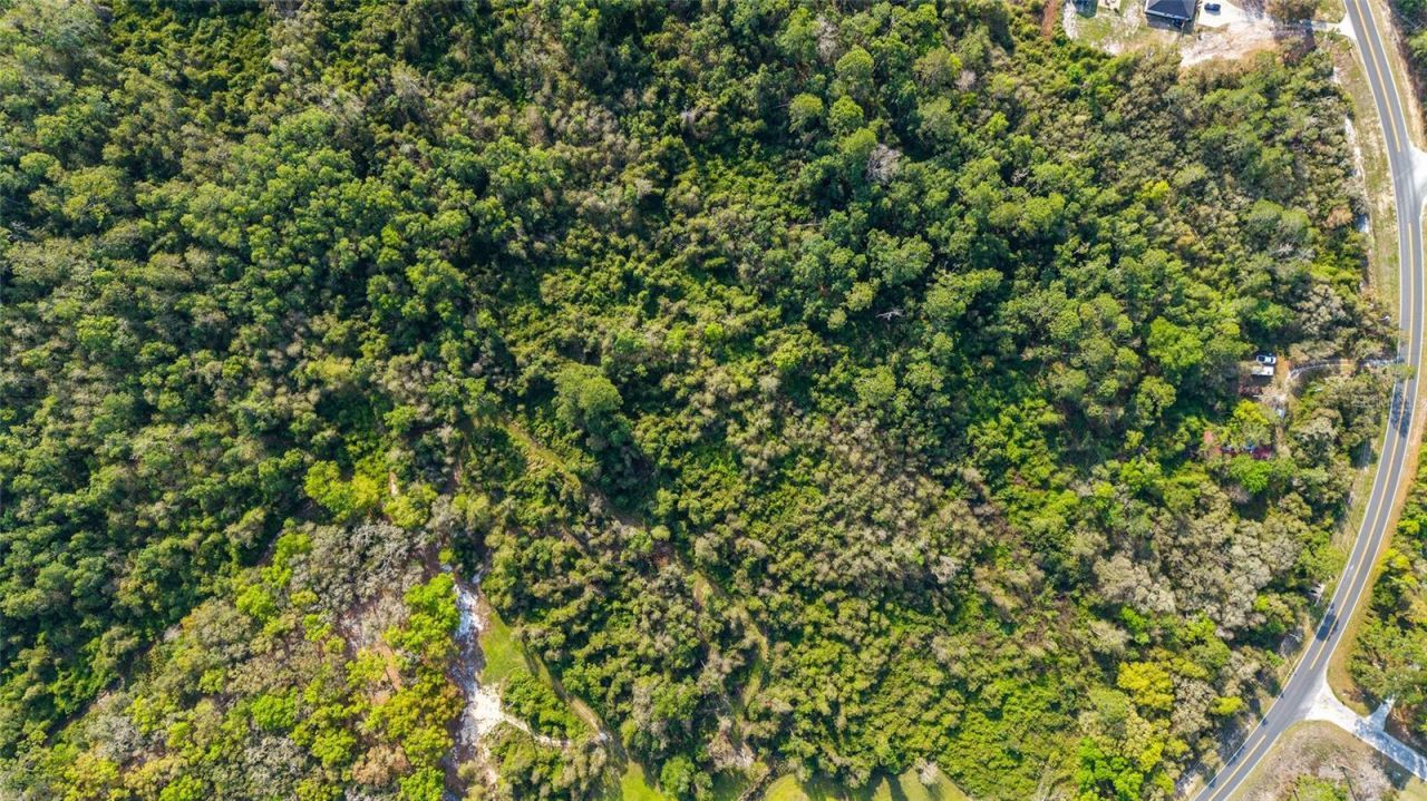 475 Fisher Road, Ocklawaha, FL 32179 Photo