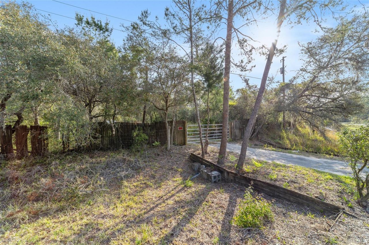475 Fisher Road, Ocklawaha, FL 32179 Photo