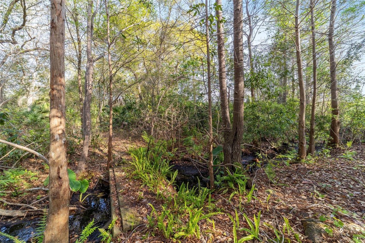 475 Fisher Road, Ocklawaha, FL 32179 Photo